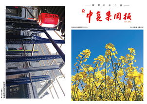 連云港中復(fù)連眾復(fù)合材料集團(tuán)2018第三期產(chǎn)品與服務(wù)概覽